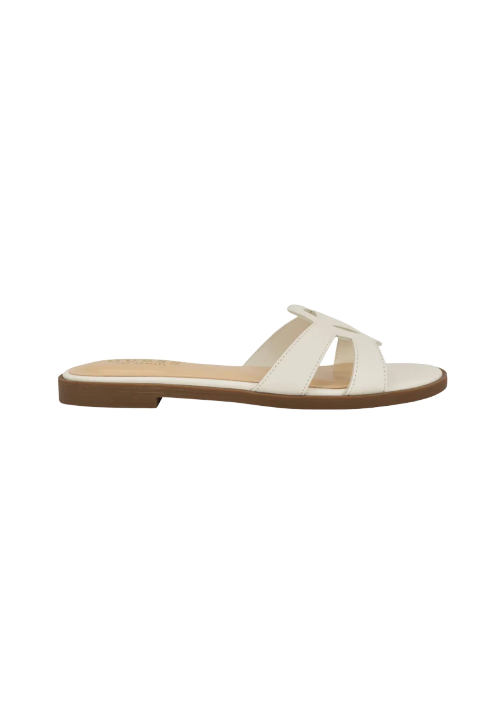 Guess Slides 137