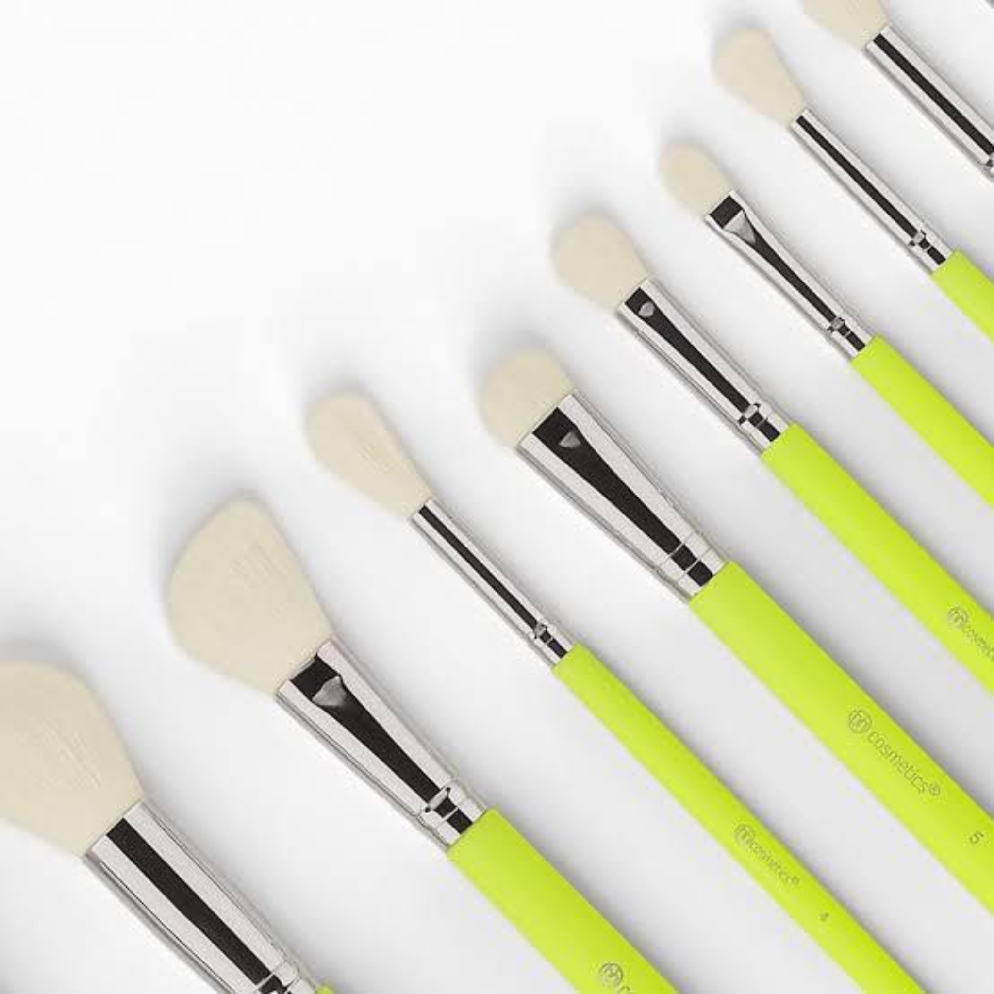 BH Cosmetics Color Festival 12-Piece Brush Set with Holder