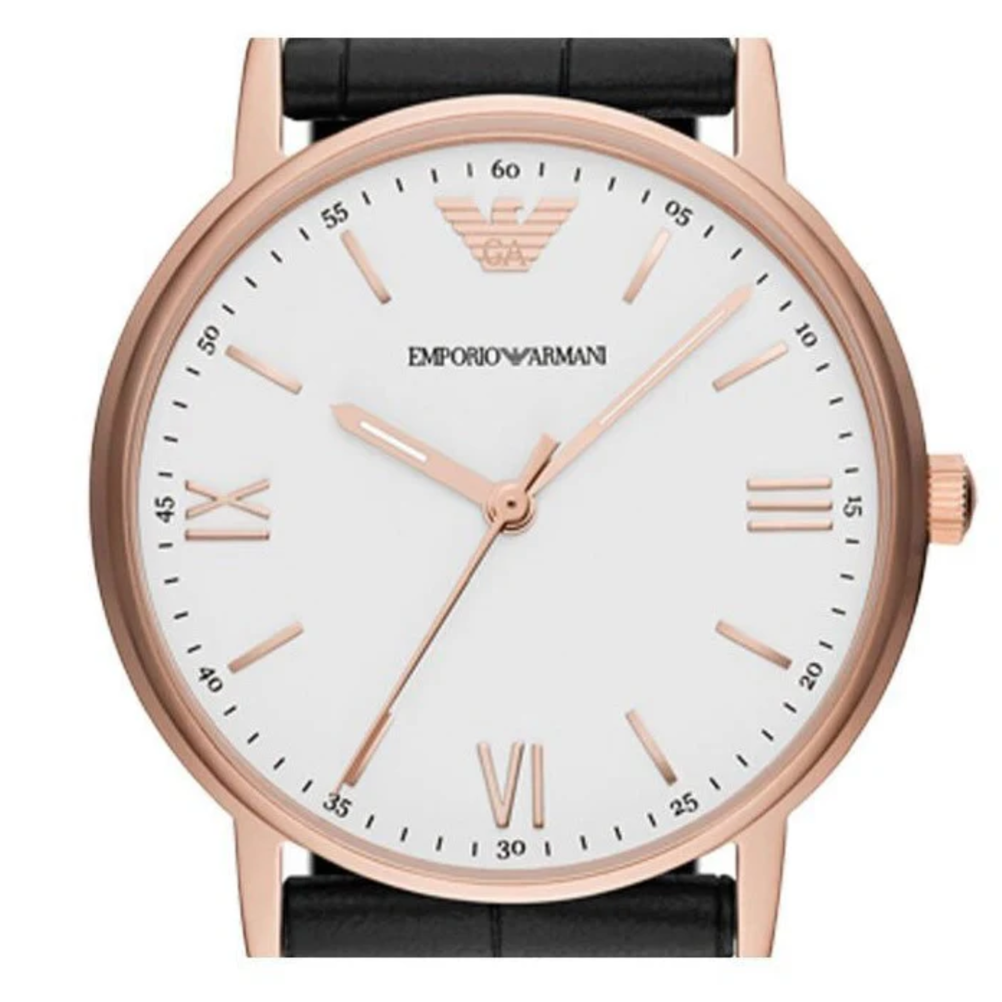 Emporio Armani AR80015M