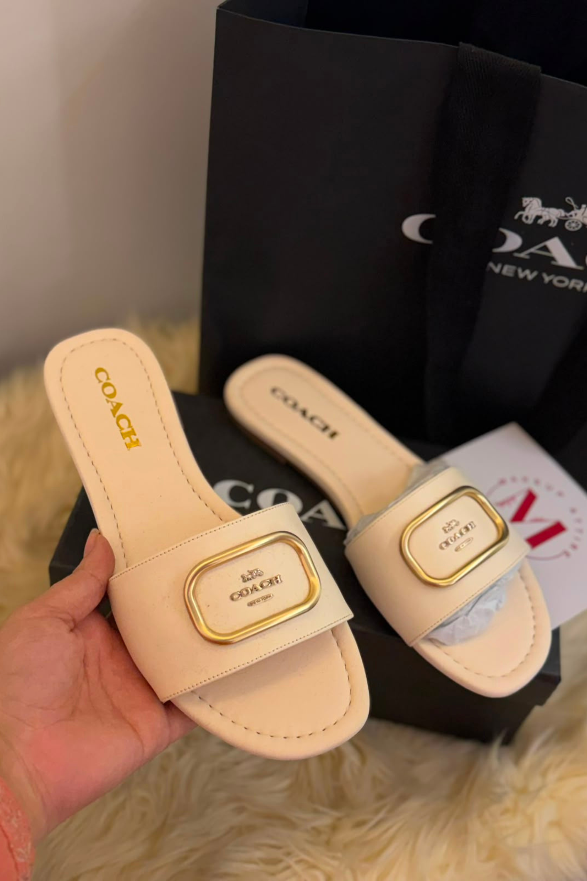 Coach Slides 311