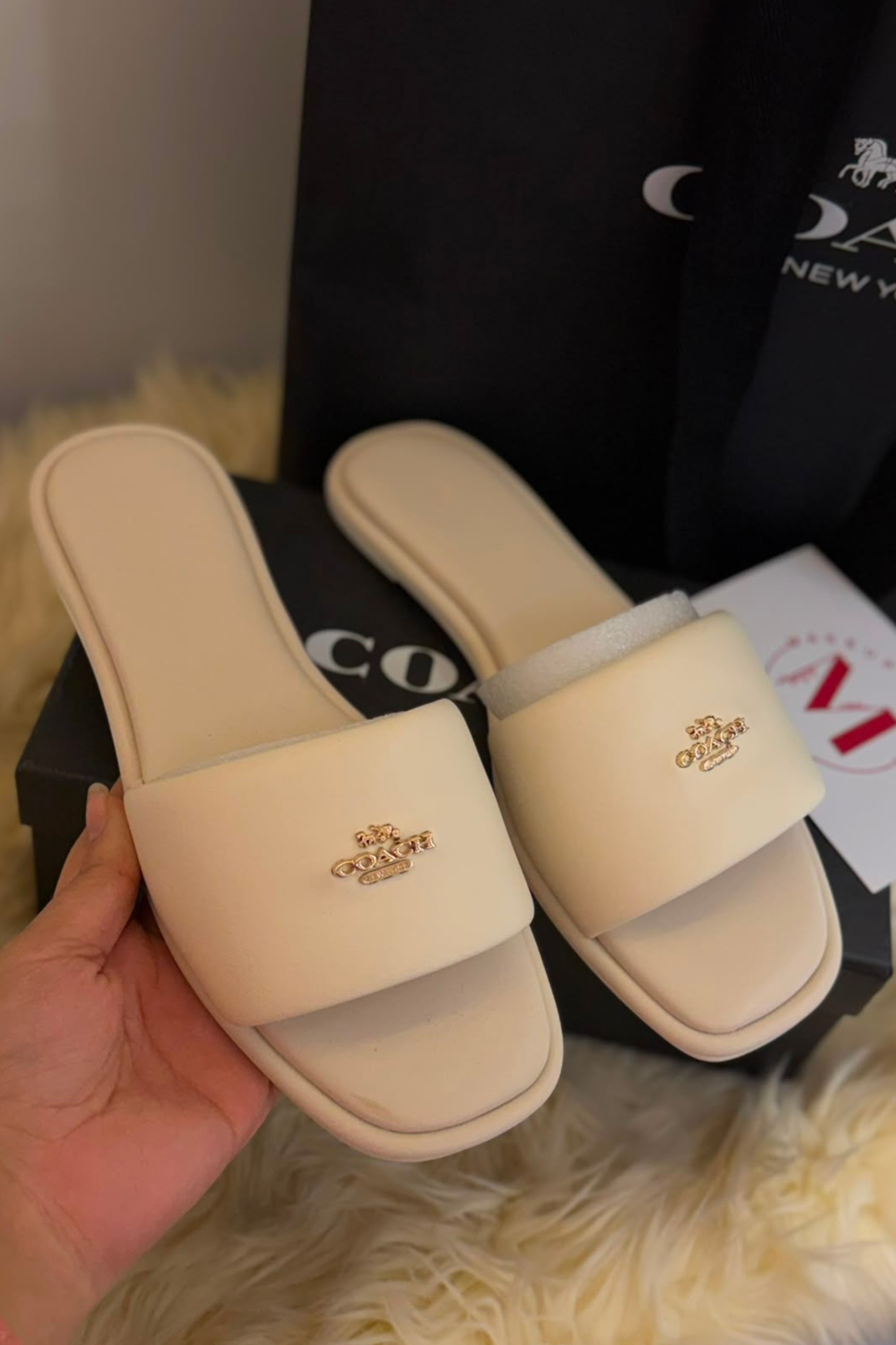 Coach Slides 312