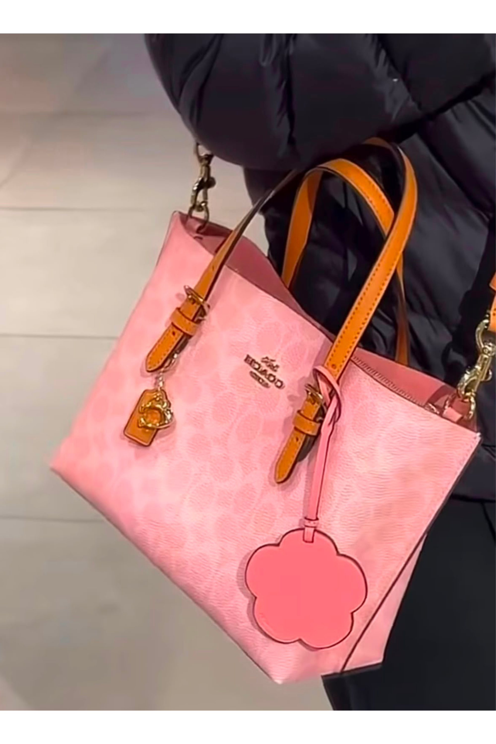 Coach Bag 1060