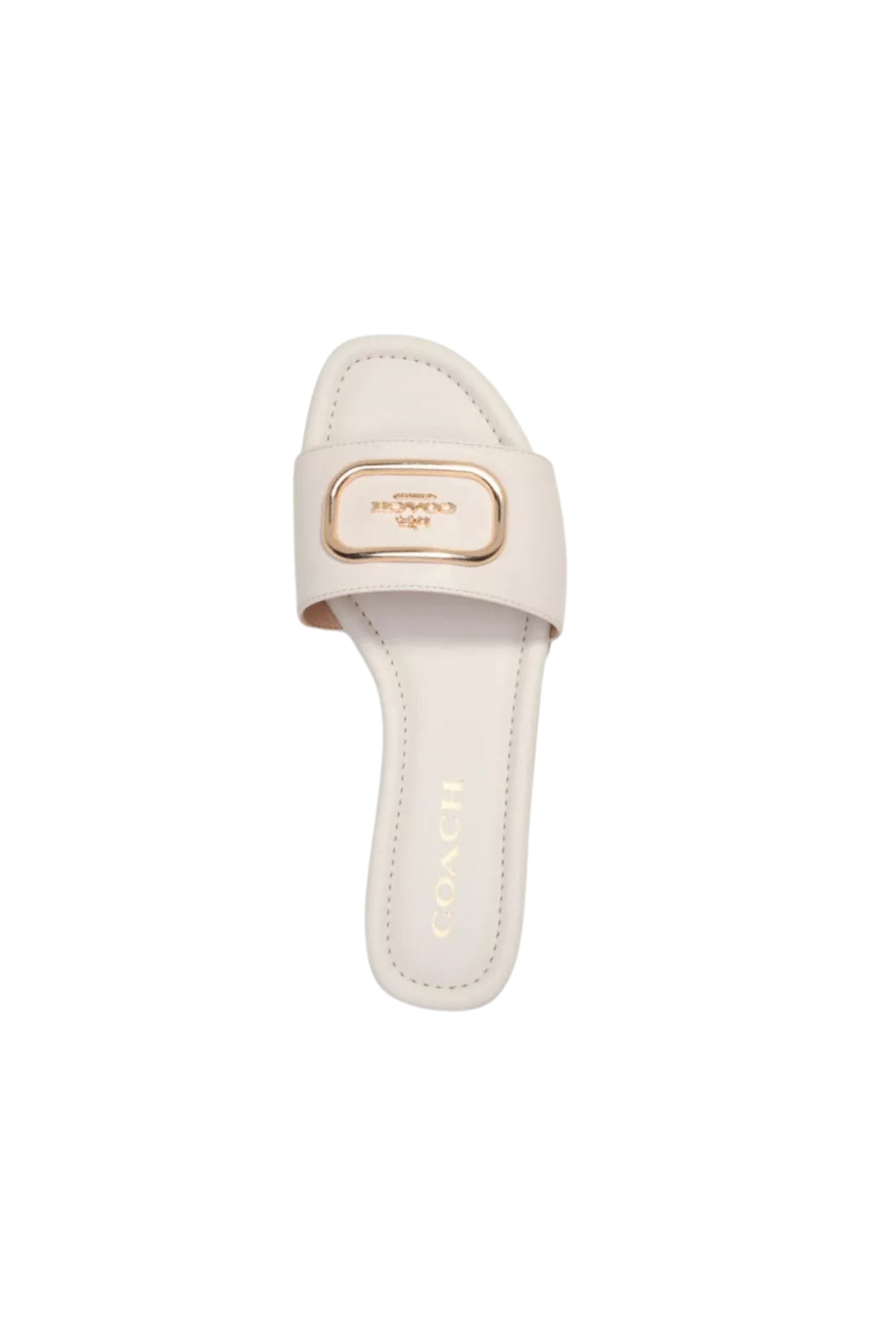 Coach Slides 311