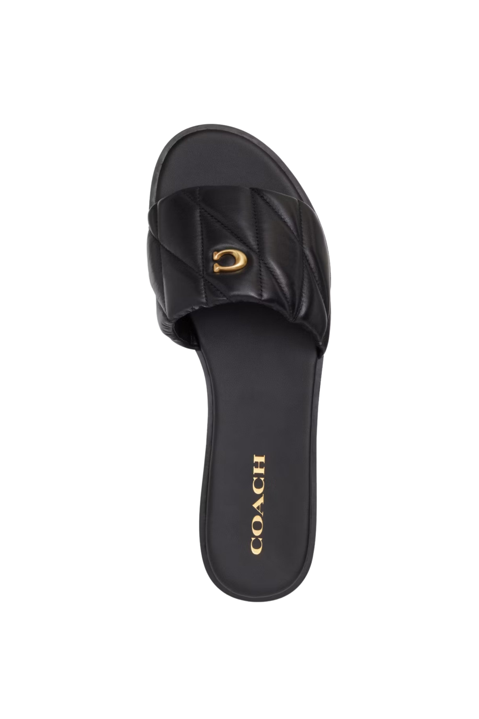 Coach Slides 307