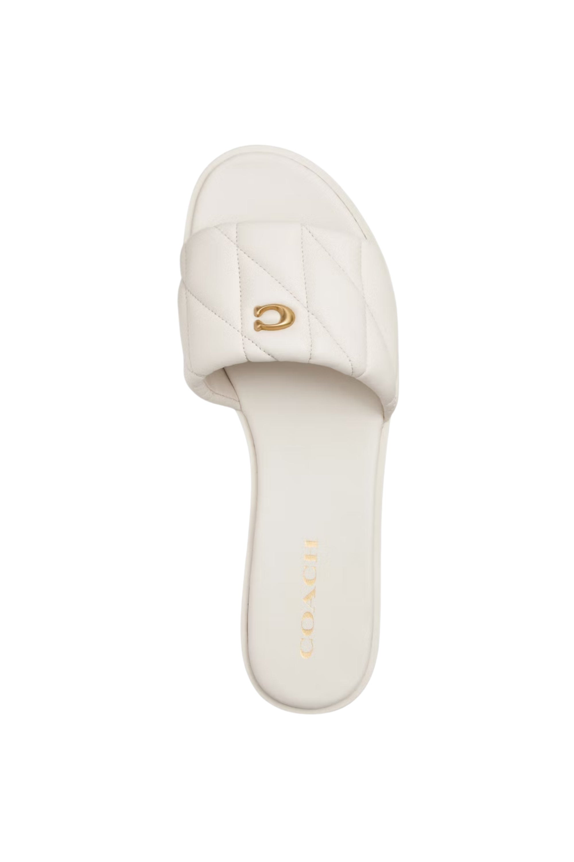 Coach Slides 308