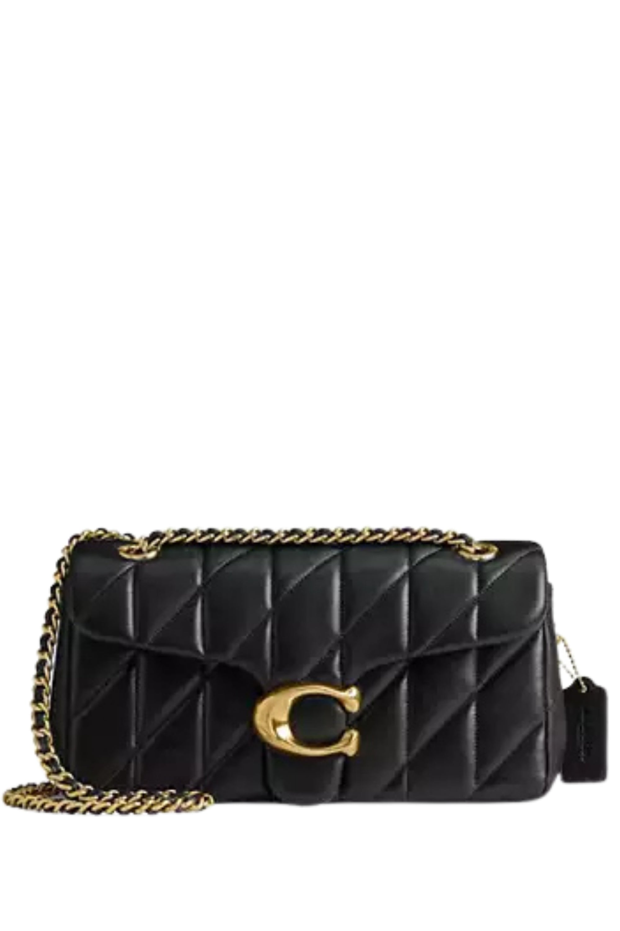 Coach Bag ( Large ) 613