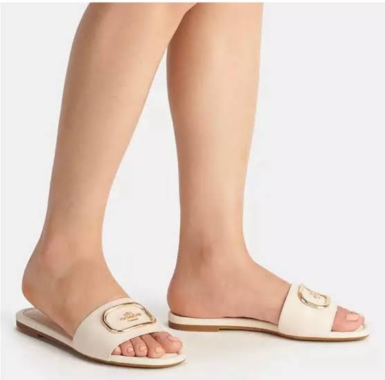 Coach Slides 311