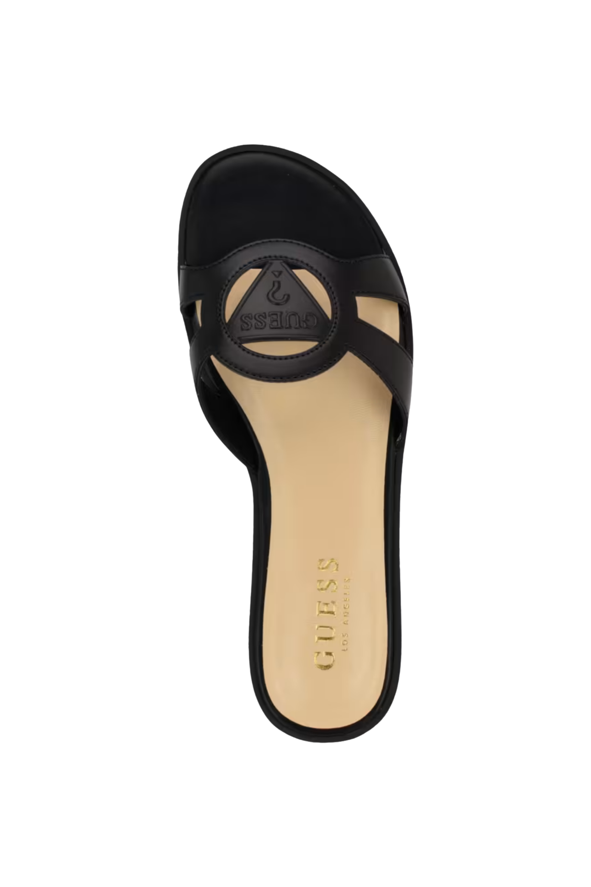Guess Slide 1824