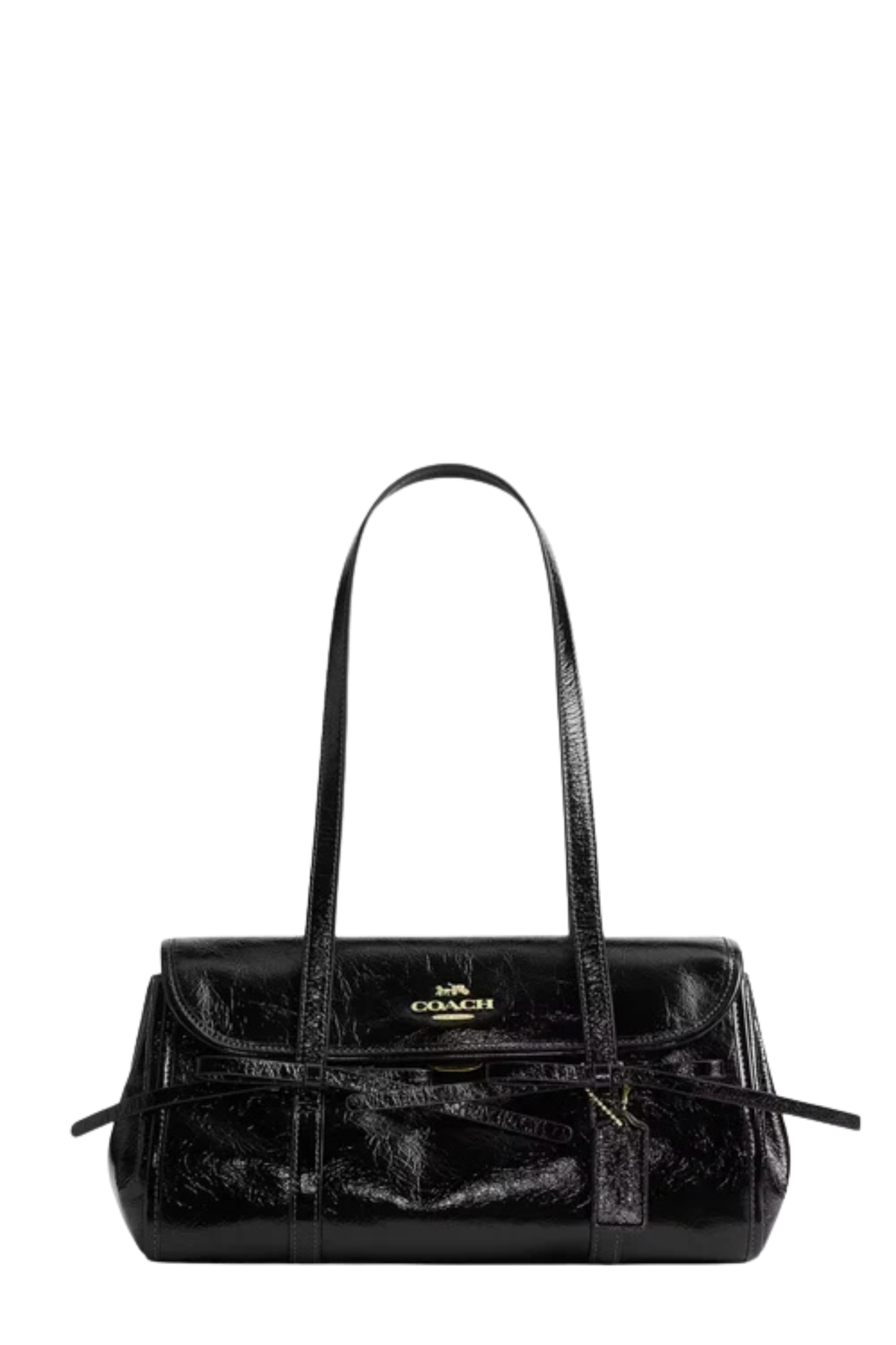 Coach Bag 1210