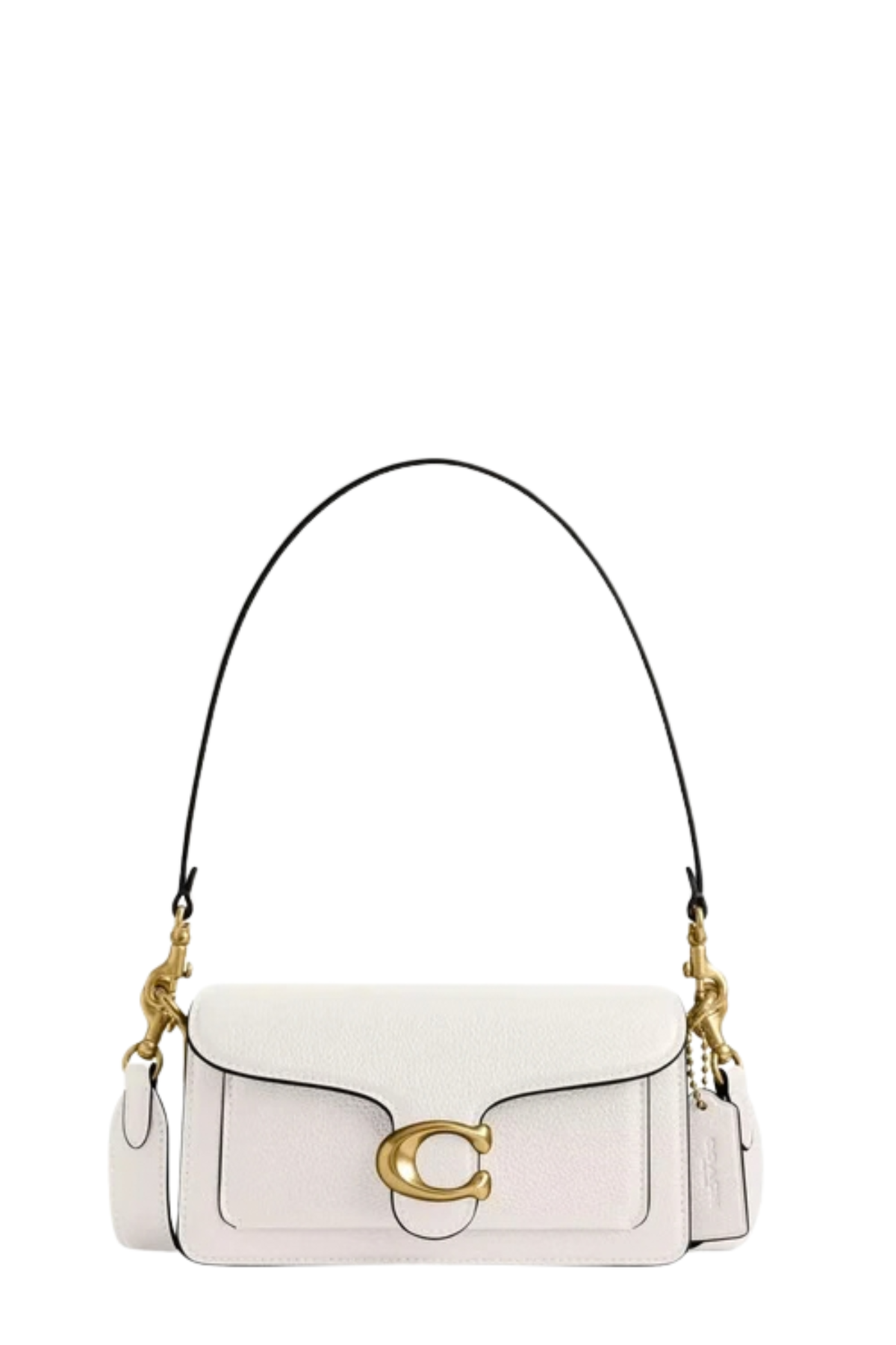 Coach Bag (Size 20) 1212