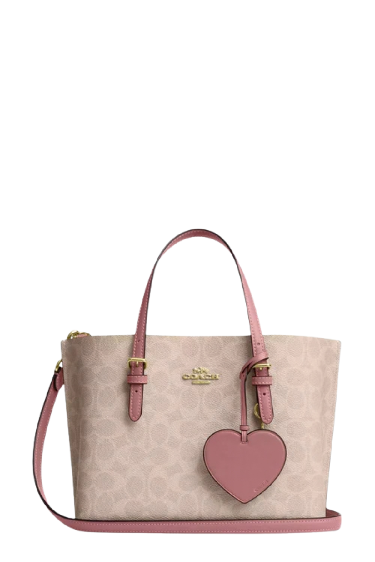 Coach mollie mini tote Bag 1108