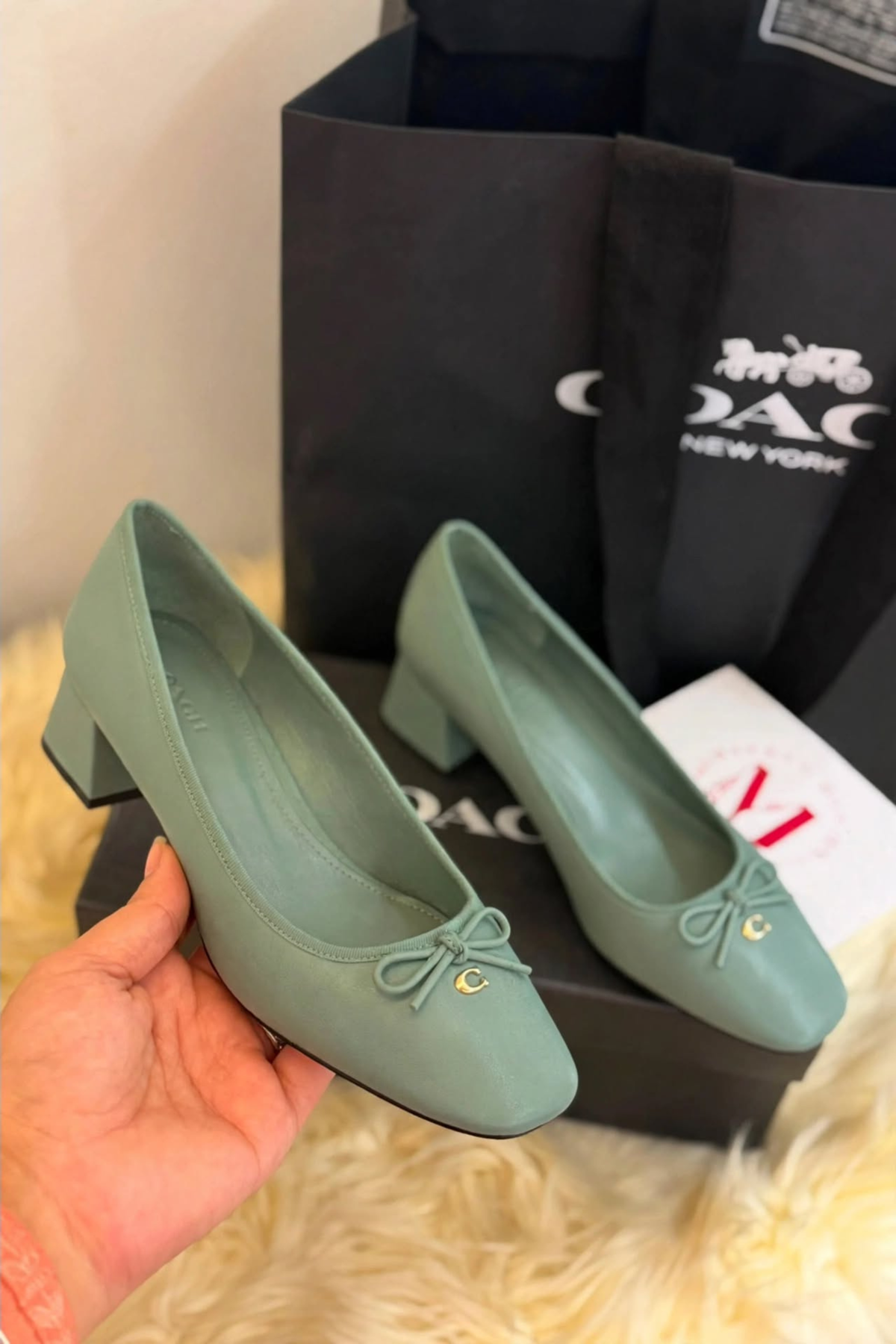 Coach Pumps 1141