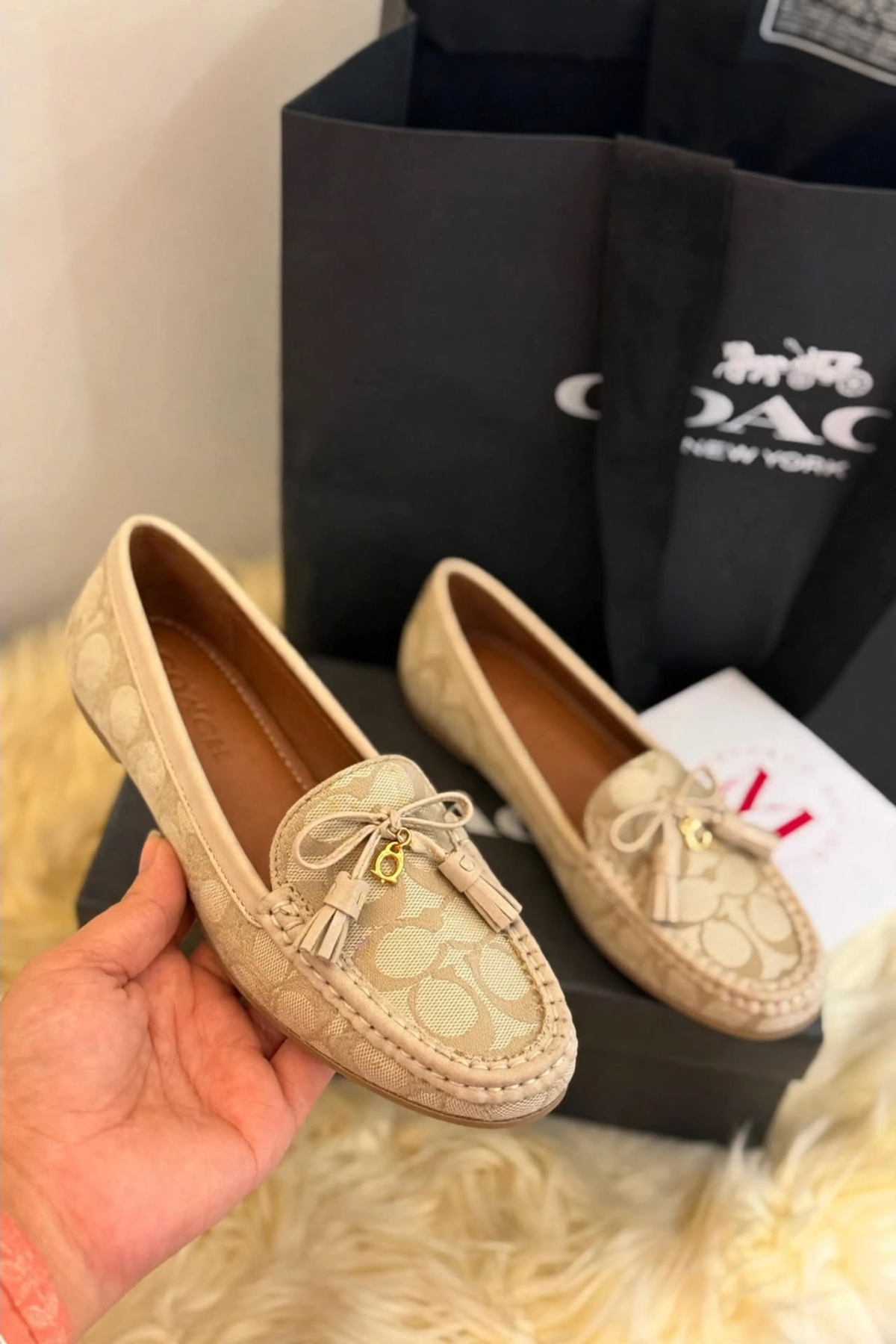 Coach shoes 1367
