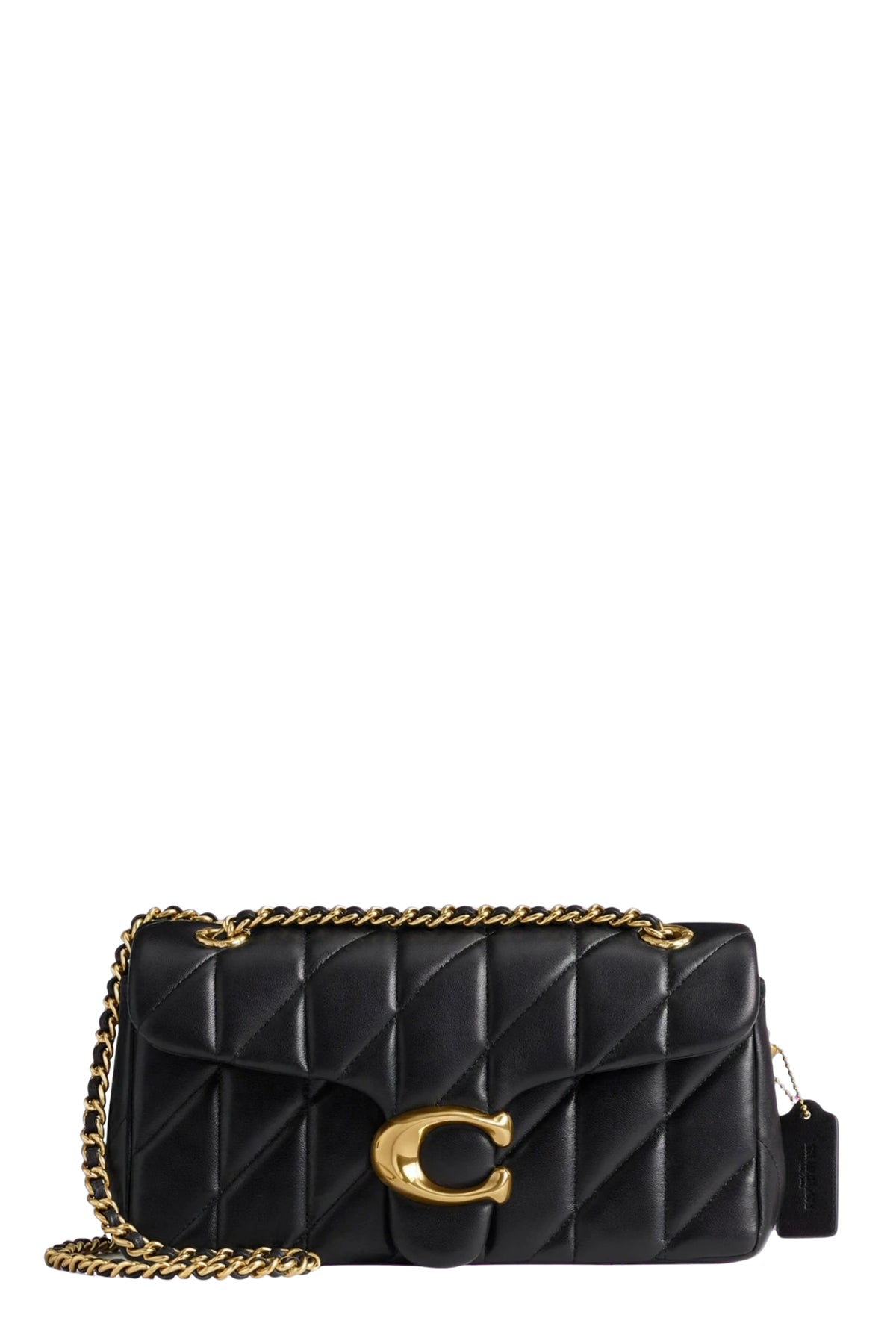 Coach Bag ( Large ) 613