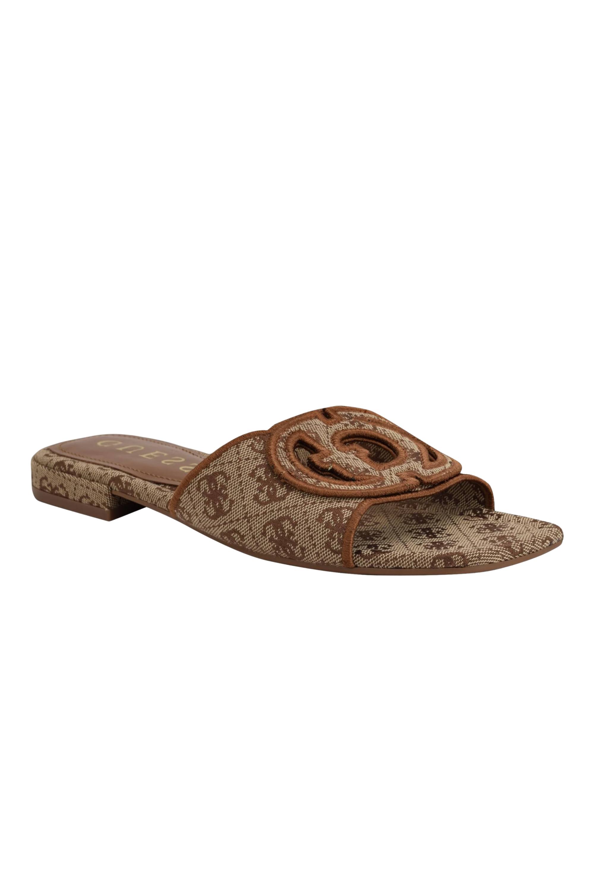 Guess Slides 1142