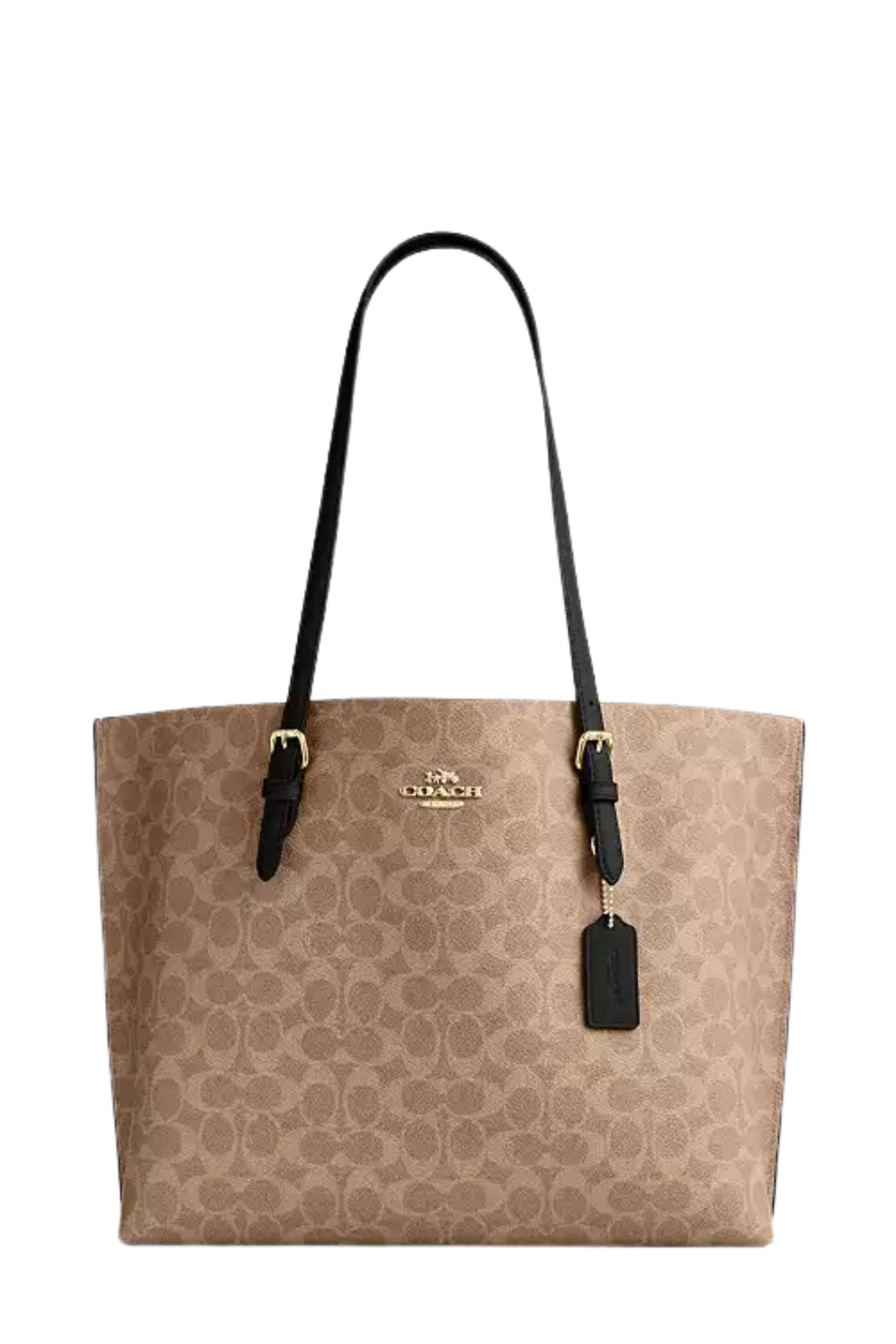 Coach Tote Bag 1241