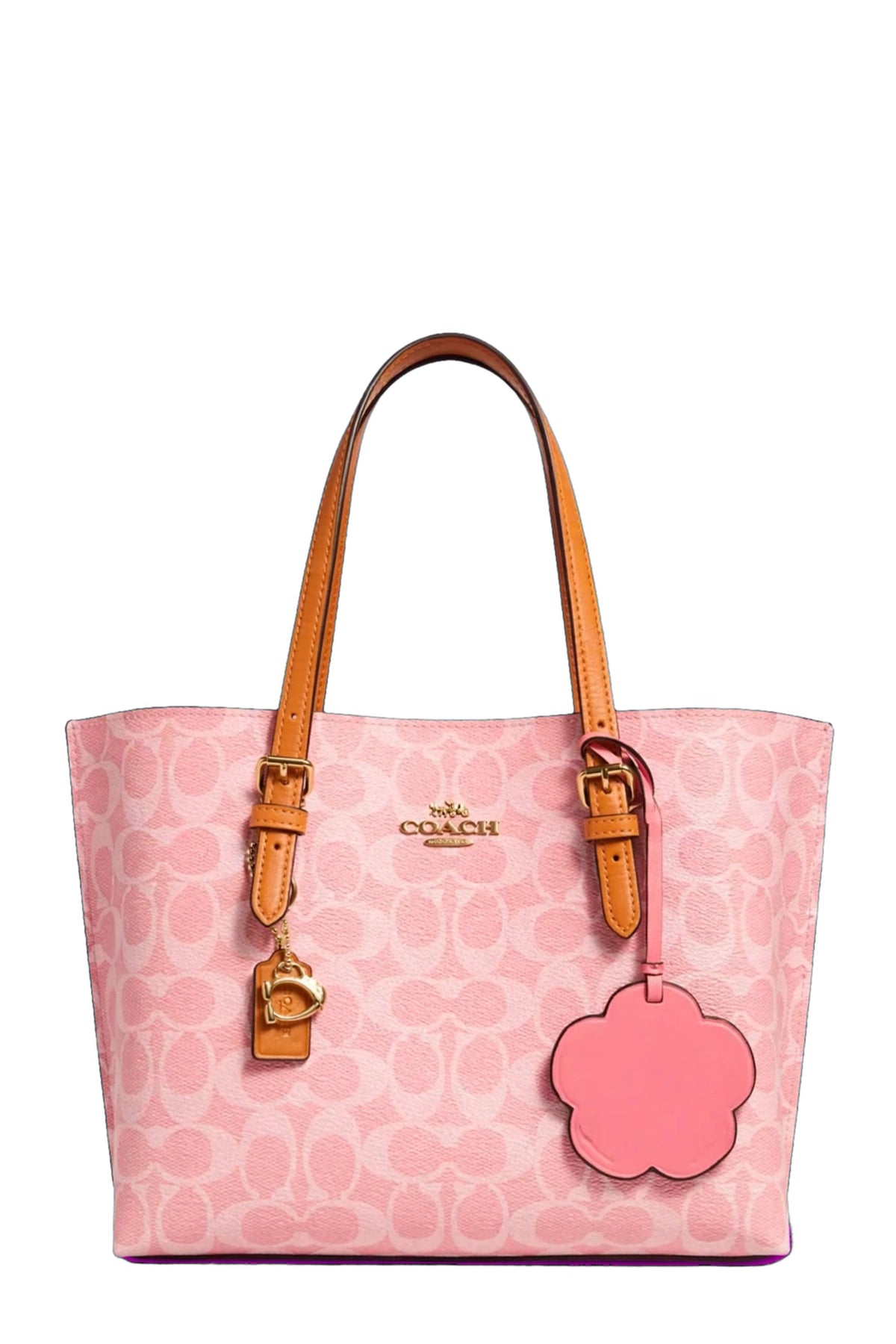 Coach Bag 1060